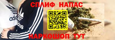 гидропоника Можга