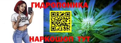 гидропоника Можга