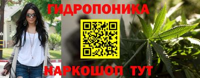 твердый Моздок